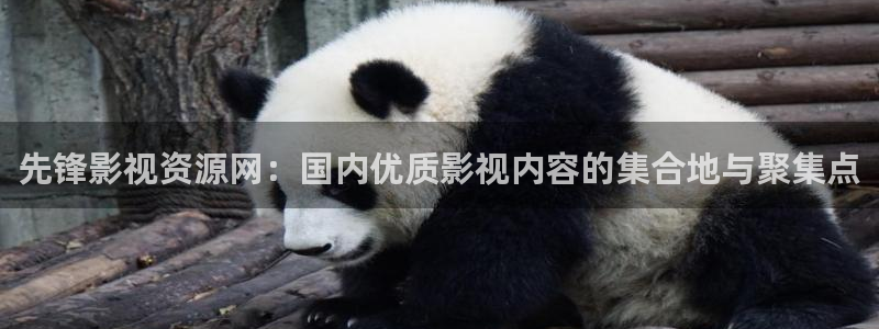 金桔檸檬汁視頻