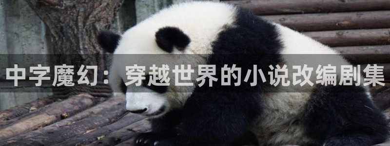 金桔視頻免費(fèi)下載